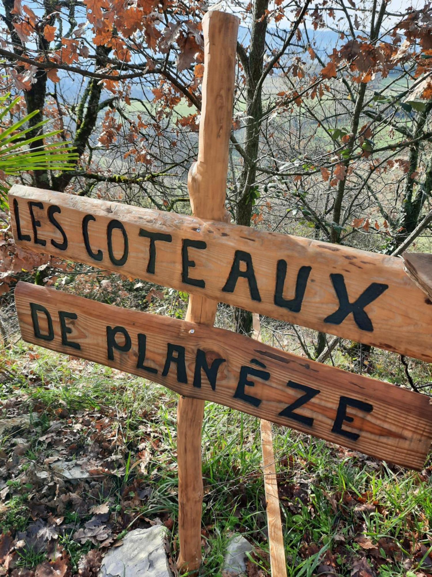 Les Coteaux De Planeze, Chambre Pour 2, 3 Ou Famille Nombreuse 2 Adultes 5 Enfants Et Jeunes Belmont-Bretenoux Ngoại thất bức ảnh